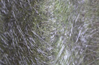 Harker fibreglass roof work